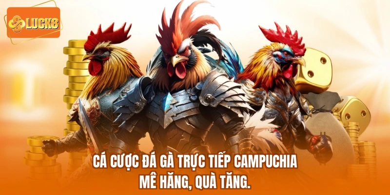 Cá Cược Đá Gà Trực Tiếp Campuchia - Mê Hăng, Quà Tăng.