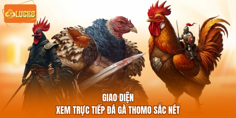 Giao diện xem trực tiếp đá gà Thomo sắc nét