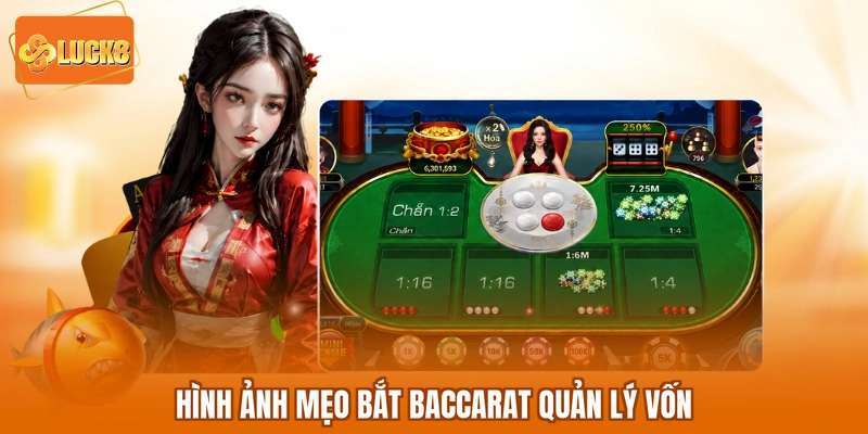 Hình ảnh mẹo bắt baccarat quản lý vốn